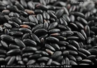 怎么补肾最有效