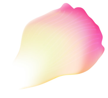 设计教程:用网格工具绘制花瓣