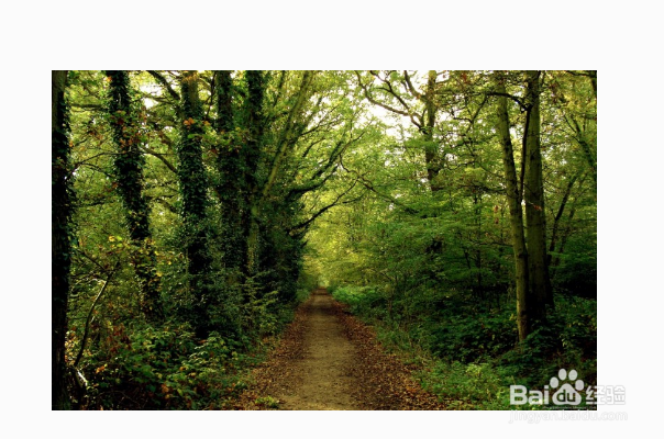 怎么拍照才会好看？