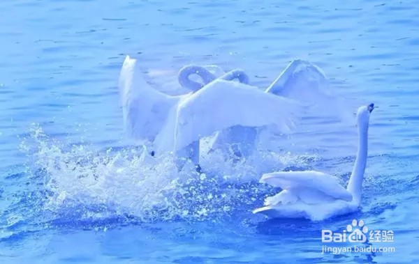 童话美景不只存在书中，看山东现实中的童话影像