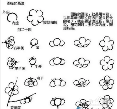 国画梅花的画法攻略