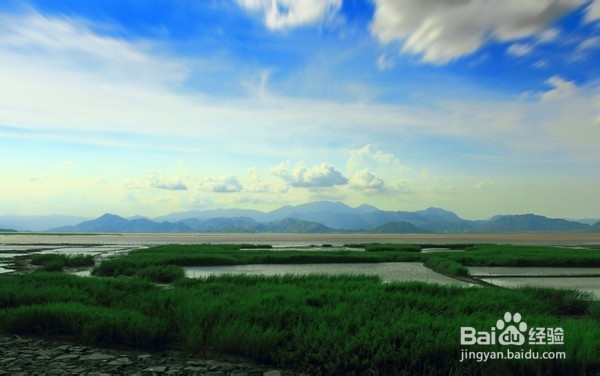 怎样鉴别图片、图片是否被 PS 过？：[2]