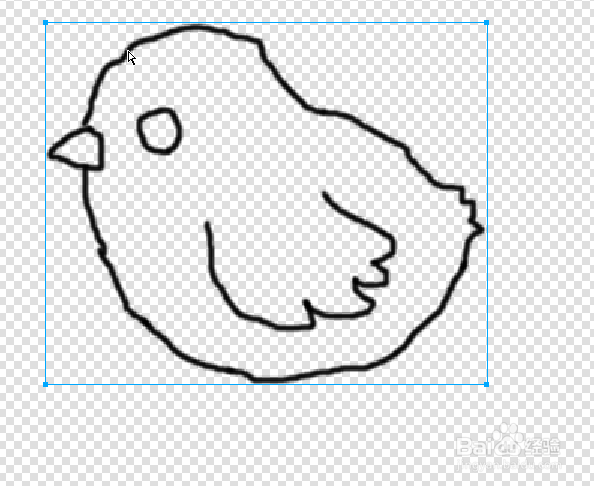 firework 五步画小鸡