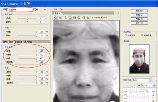 Photoshop修复带有网纹的黑白旧照片教程