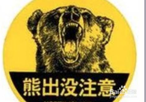 由来意思 由来意思