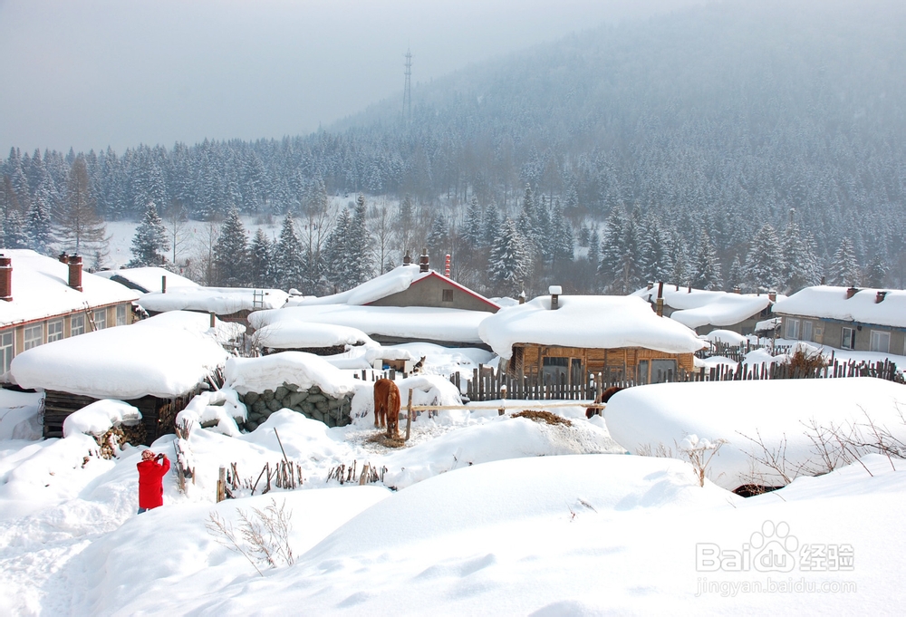 东北雪乡旅游攻略