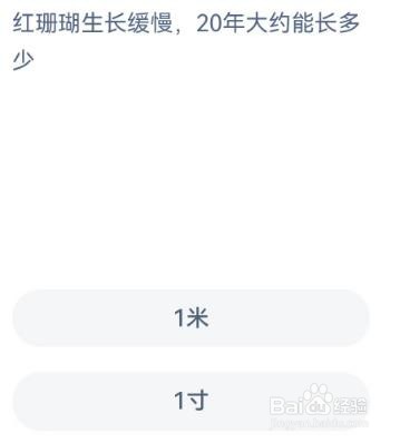 神奇海洋：红珊瑚生长缓慢，20年大约能长多少