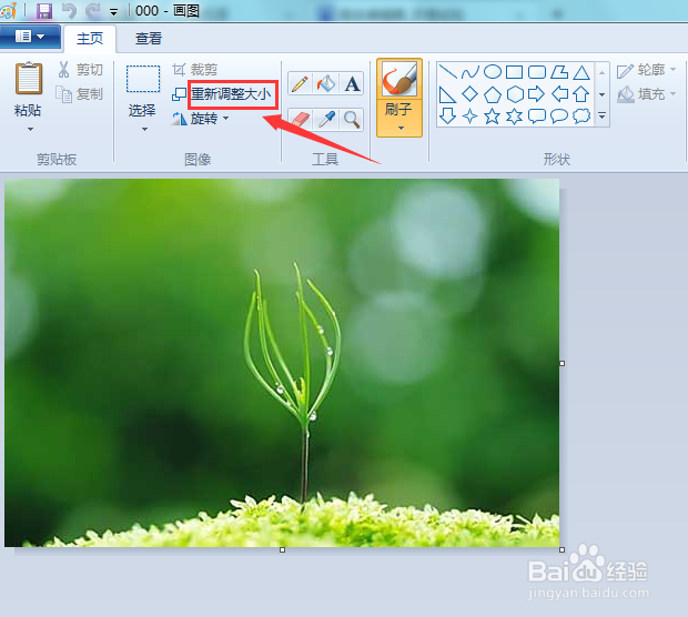 如何使用Windows画图软件调整图片大小
