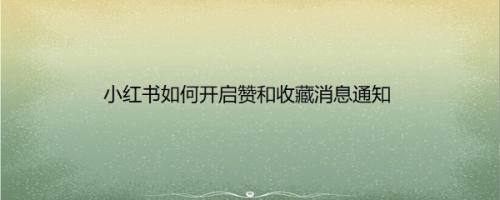 小红书如何开启赞和收藏消息通知