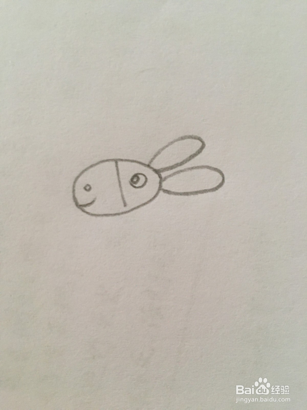 简笔画动物小毛驴