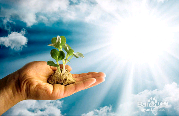 员工为何离职，只有一点最真实，其他都是扯淡！