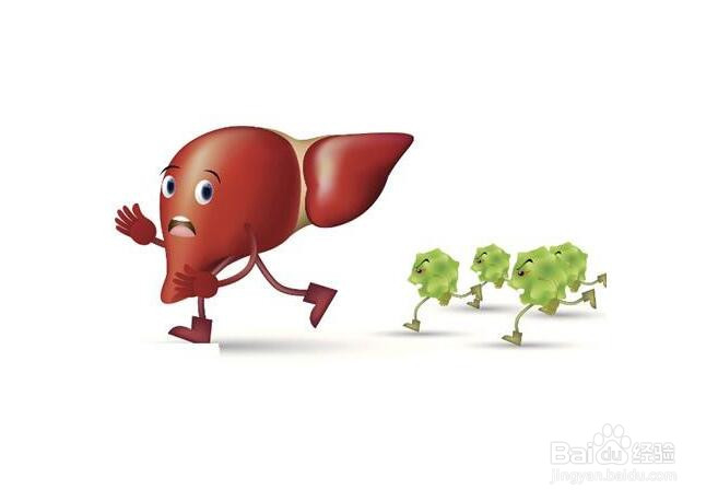 春季怎么养肝护肝