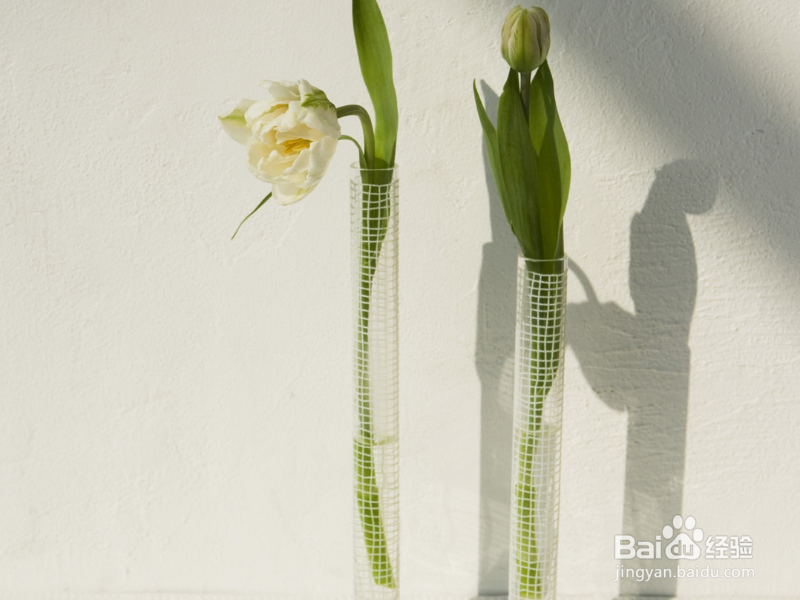 怎么追求暗恋的女孩子