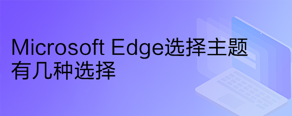 <b>Microsoft Edge选择主题有几种选择</b>