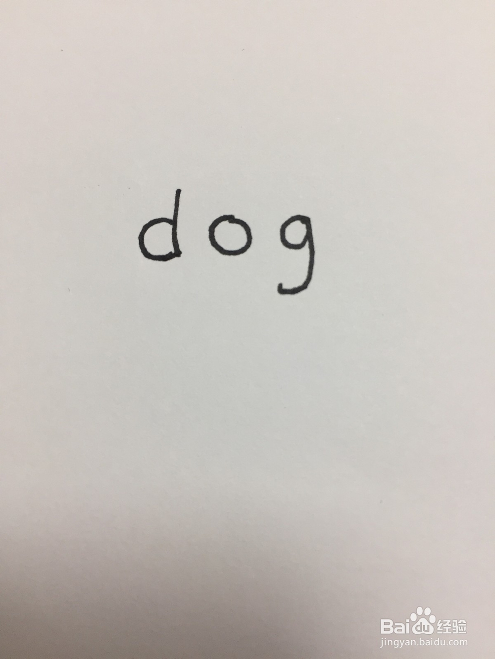 用英文dog画狗狗