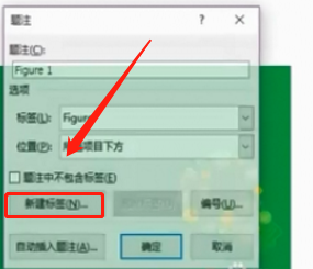 word中插入的图片怎么命名?