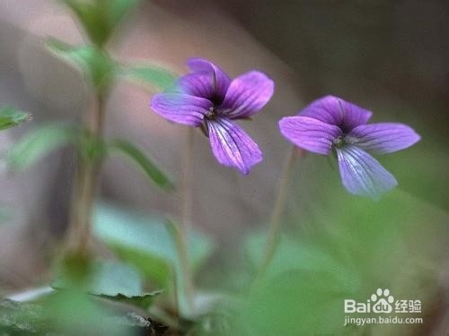 化解心中纠结的31句话