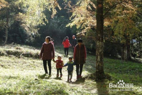 怎样走路才能给身体带来健康