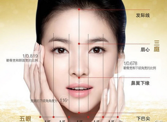 脸部的骨骼肌肉结构及面部审美