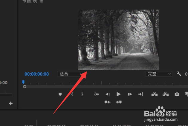 pr怎么让视频变成黑白画面