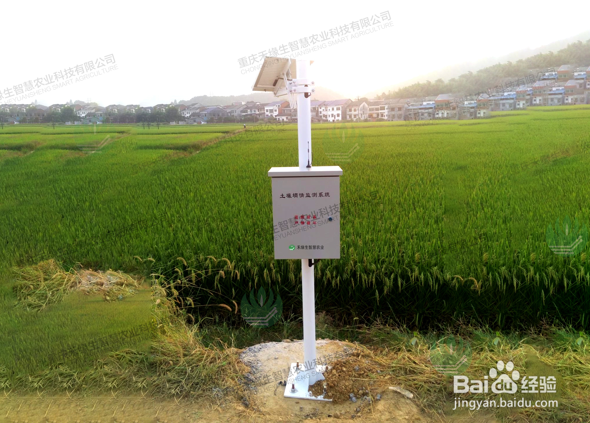 什么是智慧农业