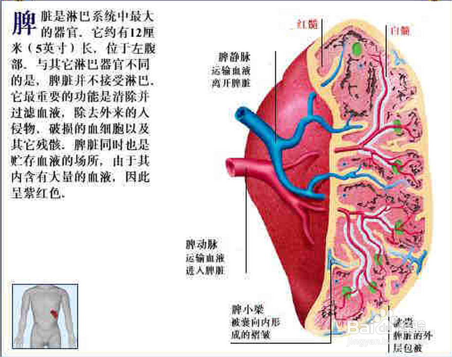 如何从人体表面发现病症并且对症下药