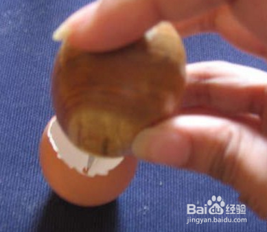 蛋壳微盆栽 你的盆栽竟然比别人的好!