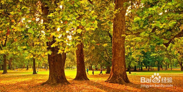 冬天骑车必备品