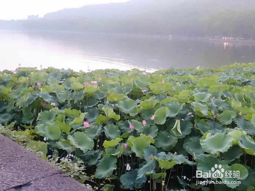 好的人生的几大准则