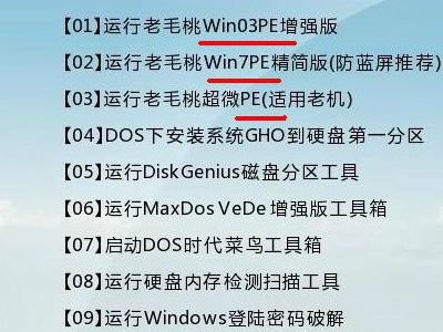 安装系统出现0x91目录不能是空