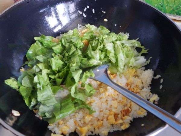 西红柿生菜焗饭