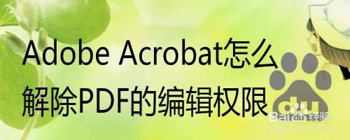 Adobe Acrobat怎么解除PDF的编辑权限