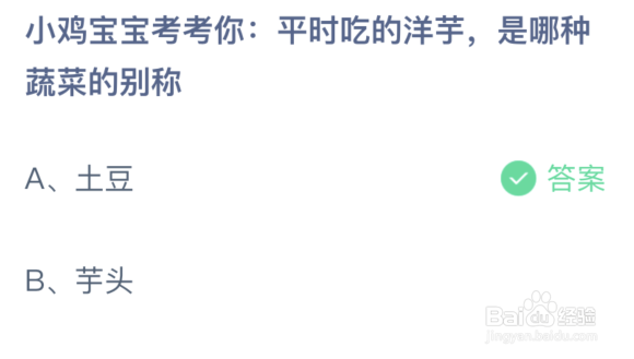 蚂蚁庄园:平时吃的洋芋是哪种蔬菜的别称