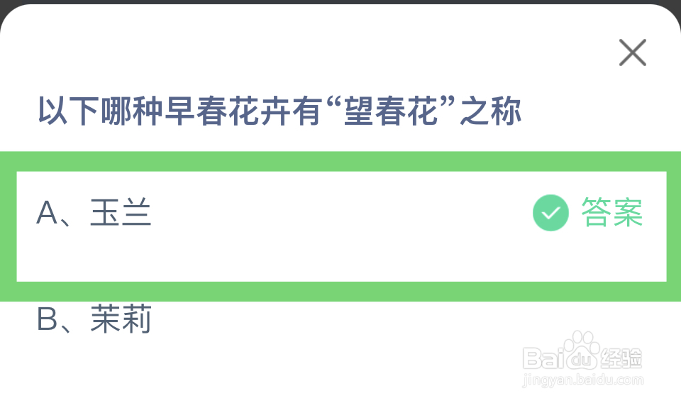 蚂蚁庄园:有“望春花”之称的花卉是