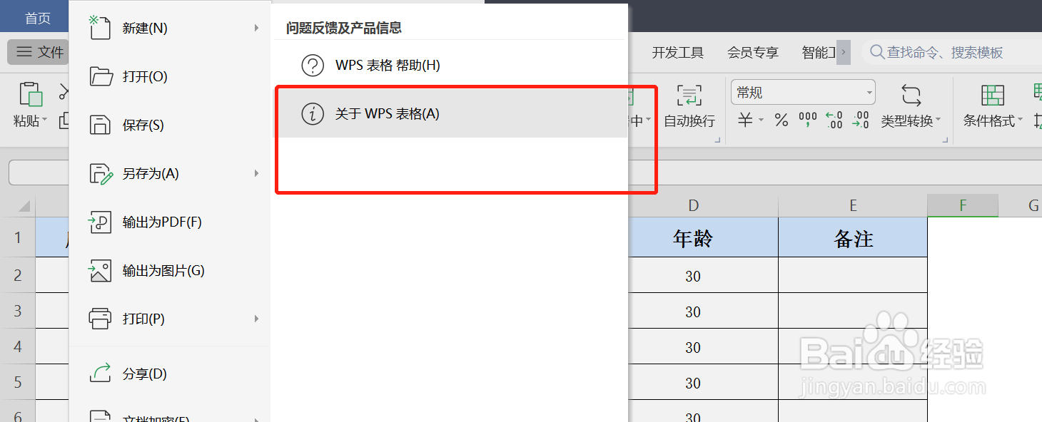 怎么查看WPS表格版本信息