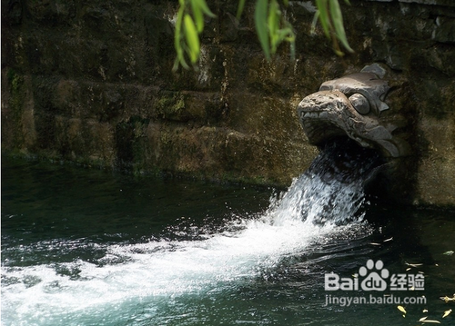 五一短距游如何玩转济南？