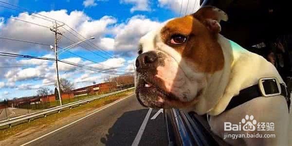 怎么解决晕车问题