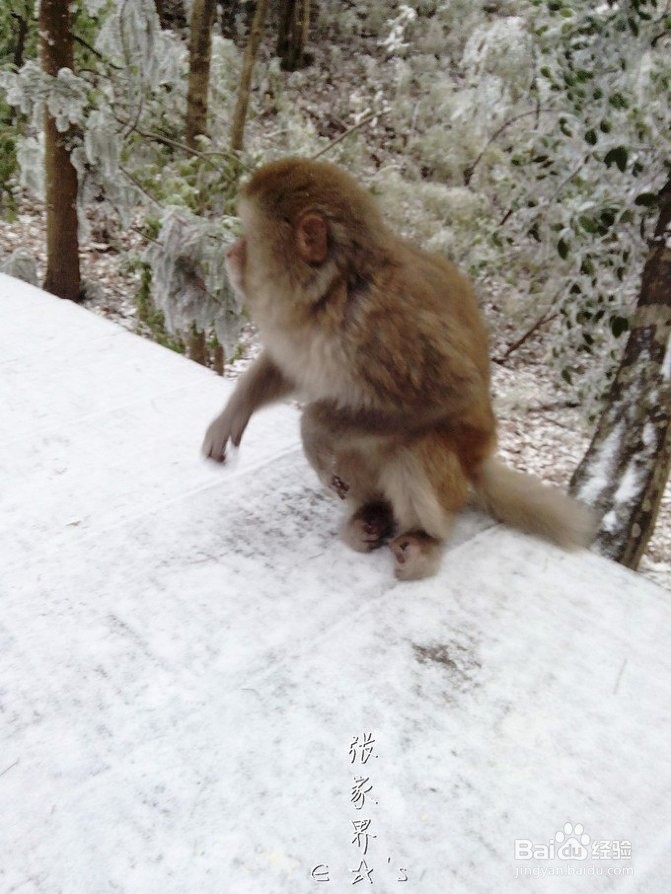 2016张家界旅游攻略实用攻略+费用+小贴士+游记