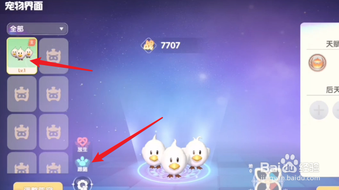 摩尔庄园怎么让宠物跟随你