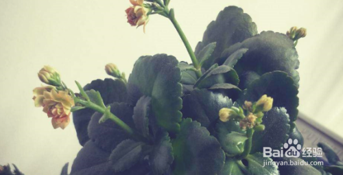 生气憋屈怎么发朋友圈