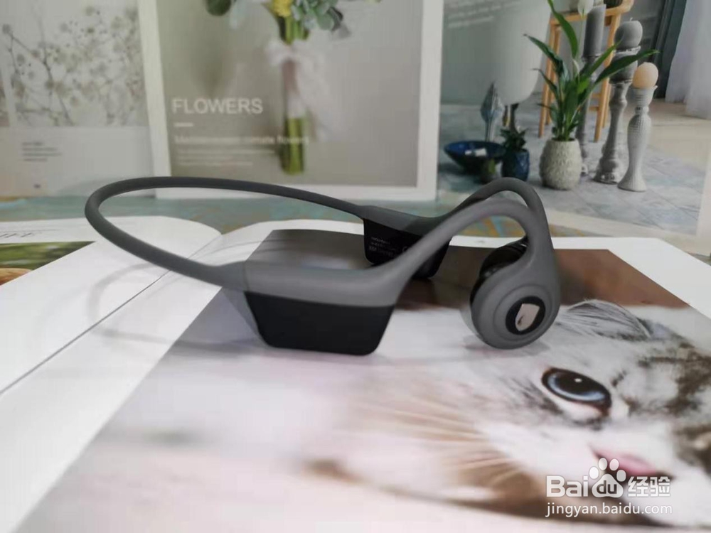 什么牌子的骨传导耳机好，性价比高的骨传导耳机