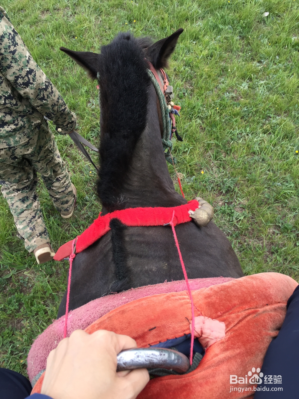 空中草原旅游经验谈(攻略)