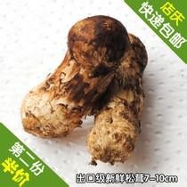 高级食材松茸怎么做都有营养