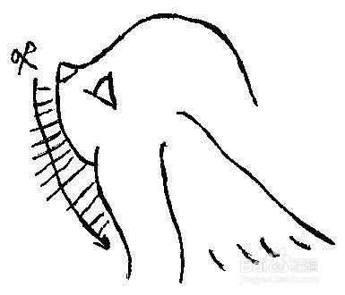 西施犬美容修剪方法教程（图文）