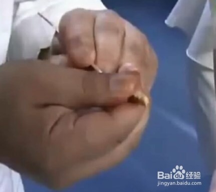 怎么样吃大闸蟹