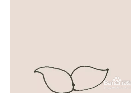 豌豆射手简笔画