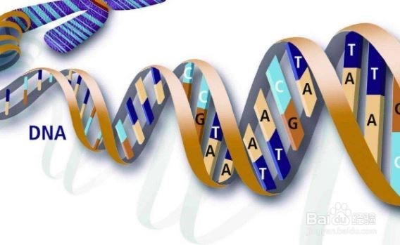 结扎对女人的身体有什么影响呢？