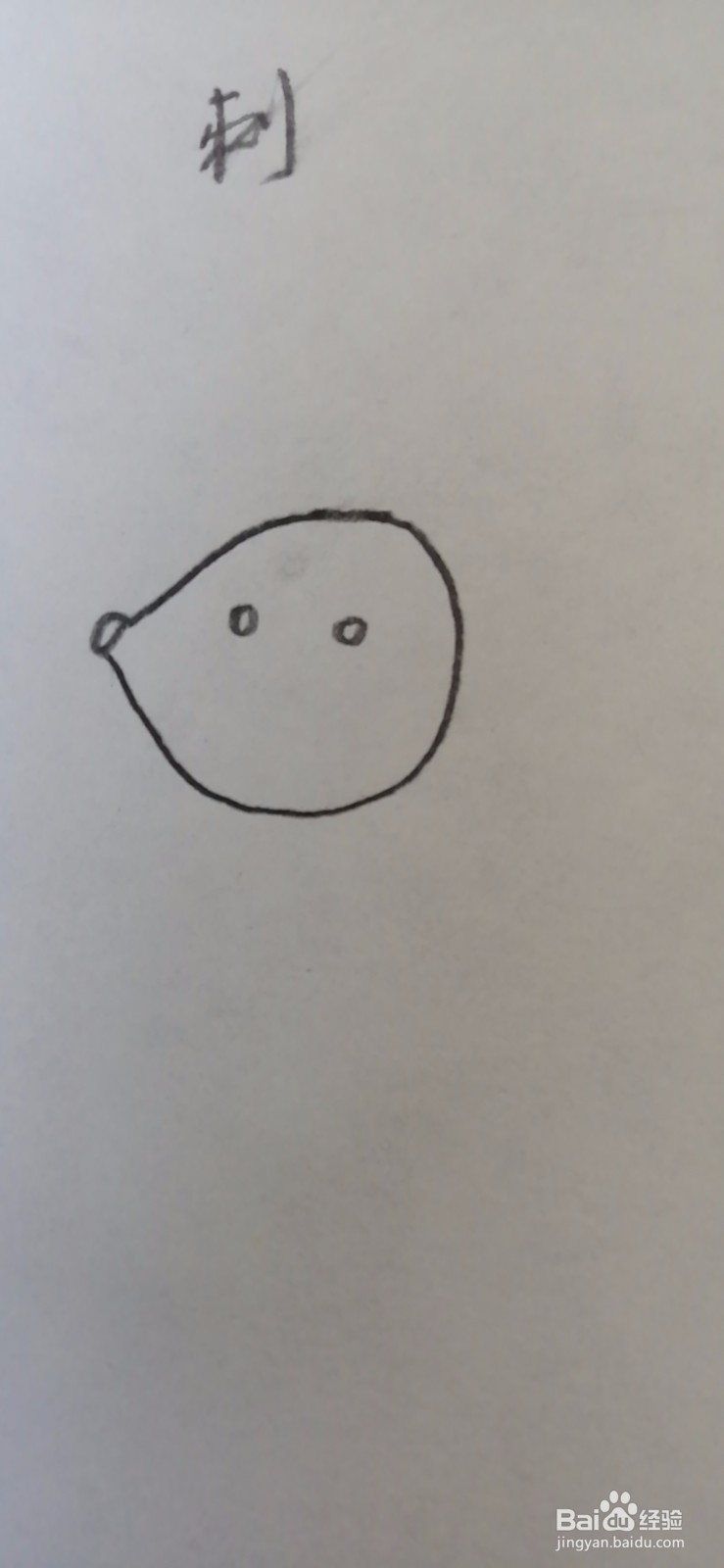 简笔画-可爱卡通刺猬简笔画