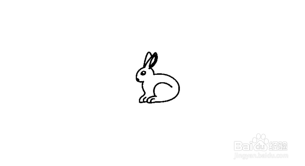 家兔简笔画画法分解