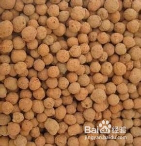 养兰花植料应该具备的基本特点
